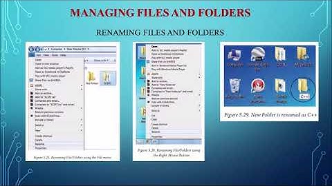 Class 11 Computer Application Chapter 5 Working with Windows Part 2