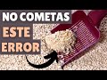 Los 12 ERRORES más comunes en la CAJA DE ARENA (según los expertos)