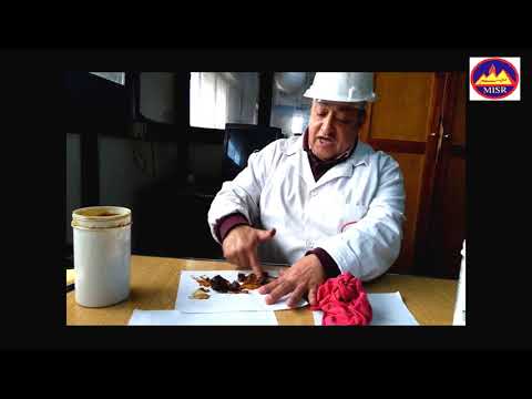 كيف تتعرف علي الشحم الجيد من الشحم الرديء للتواصل ت 01000074791