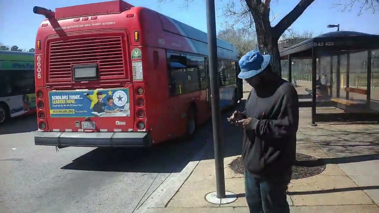 Bus Life at Anacostia Metro Station: Metrobus and DC Circulator Observations