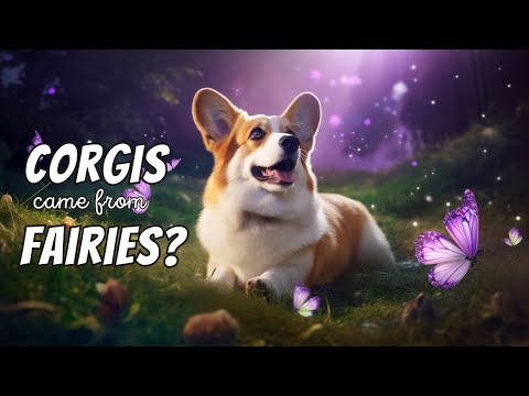 Corgi Folklore - The Legend of Fairies & the Corgi