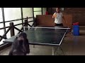 Monkey Plays Ping Pong - Destroys Human 🐒