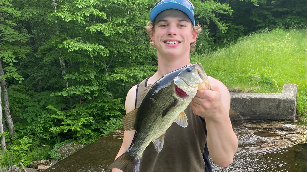Bass fishing