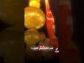 لبيك يا حسين قرب ه ـ ــاآ ي لحضه لبيك يا عباس