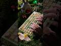 meletrix ZOOM75 TIGA Mechanical Custom Keyboardurelab Keycaps Jadeite Linear Switch Typing ASMR