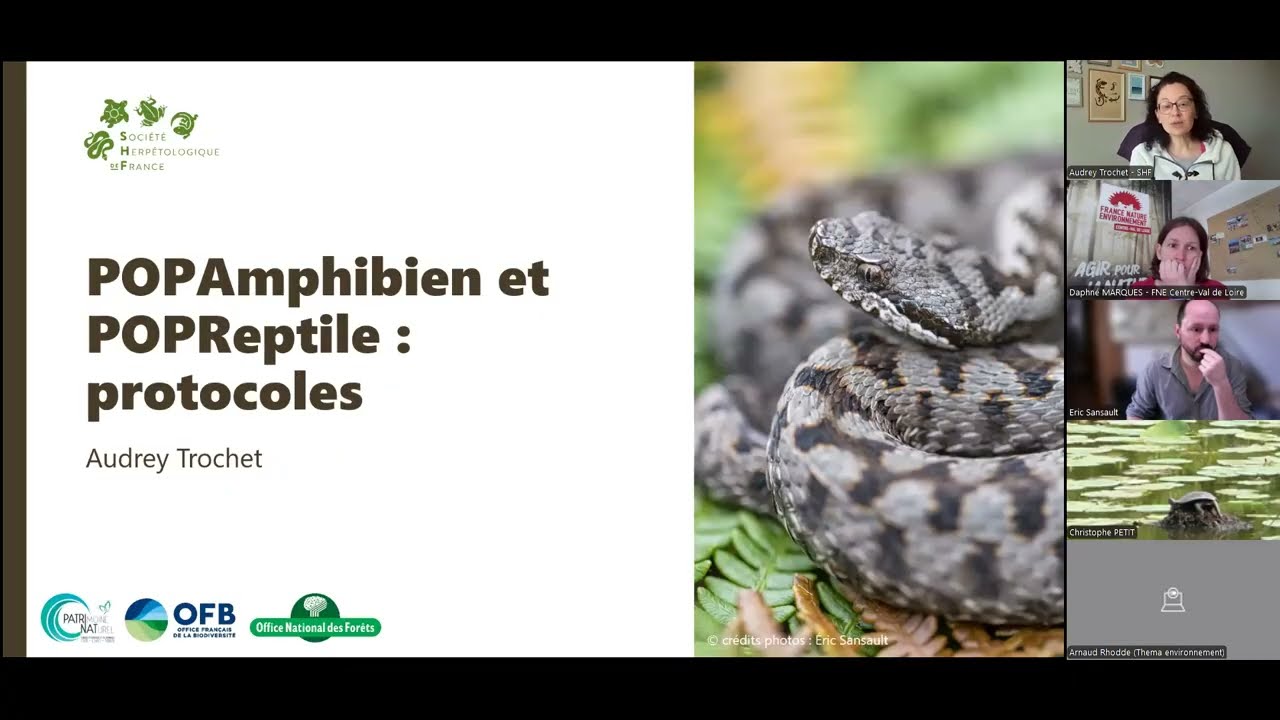 Webinaire de présentation des suivis POPAmphibien Reptile en Centre-Val de Loire