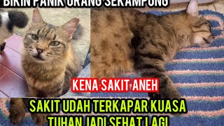 Download Lagu Kucing Momo Tiba-Tiba Sakit Aneh Kuasa Tuhan Sudah Sehat Kembali..‼️ MP3 Download Lagu Kucing Momo Tiba-Tiba Sakit Aneh Kuasa Tuhan Sudah Sehat Kembali..‼️ MP3