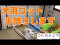 【犬用コット】コハク用のコットを手作りします。前編【コハクキャンプ部・番外編】