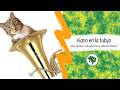 "Tem gato na tuba" (A Turma do Balão Mágico) en Esperanto