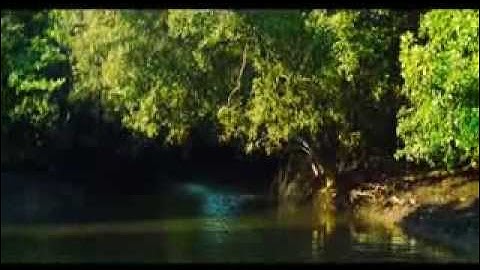 Discover Banyuwangi-Impen impenen