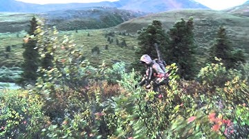 Sheep Shape - S1 Ep 8 Preview: Chad Hall, Rick Carone, Kelsie Burford and Patrick Scrogin