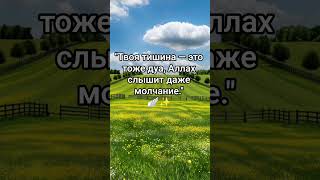 ПОДПИШИСЬ #ислам #вера #духовность  #душа #мотивация #мусульманка  #покой #мудрость #надежда  #всеот