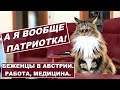 Украинцы в Австрии, работа, медицина. Патриоты и предатели.