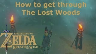 Great Deku Tree How To Get Through The Lost Woods - Zelda Breath Of The Wild
