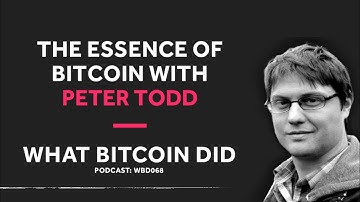Peter Todd on the Essence of Bitcoin