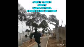 Extremo Celeste Humillando A Juventud Rosada En El Callao 2023