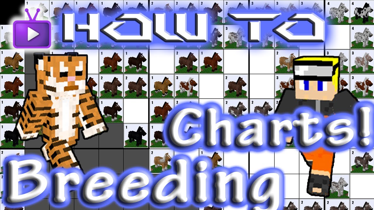 Minecraft How To: Mo' Creatures - Reading Horse Breeding Charts! - YouTube