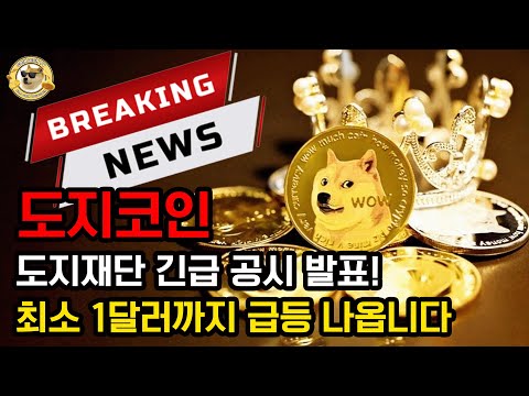   도지코인 전망이 밝습니다 도지재단 긴급 공시 발표 최소 1달러까지 급등 전망 공시 내용 최초 공개