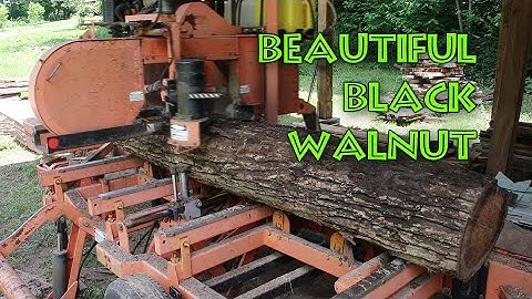 Black Walnut Sawmill Day! - Hard and sweaty work - Wood-Mizer sawmill makes money