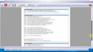 Sensitiv Imago (SI) Key Concepts:Conclusion Report Explained: Part 1