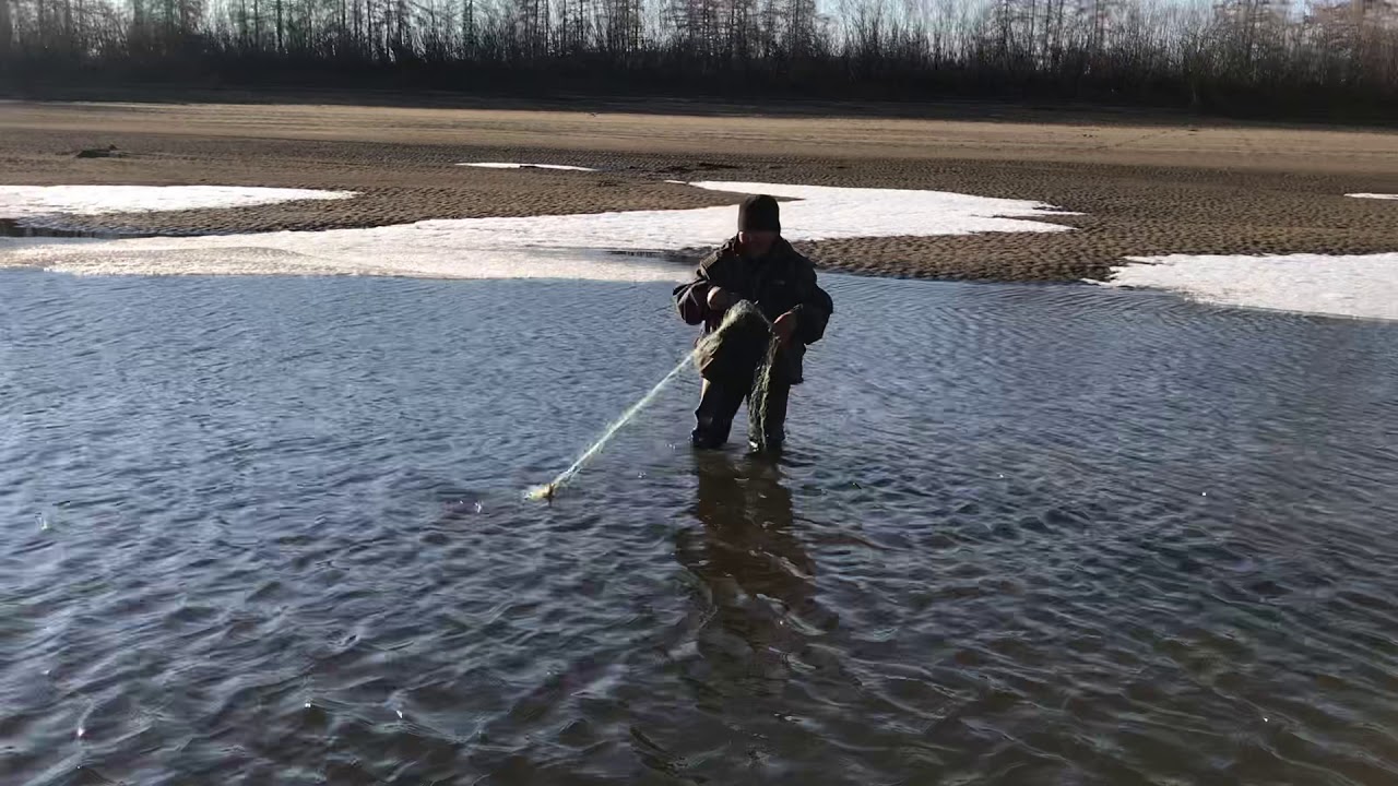 Северная рыбалка ютуб