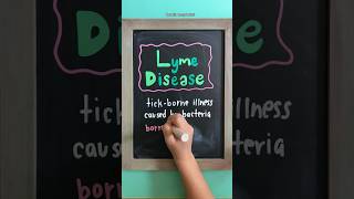 LYME DISEASE OVERVIEW for Nursing Students #nursing