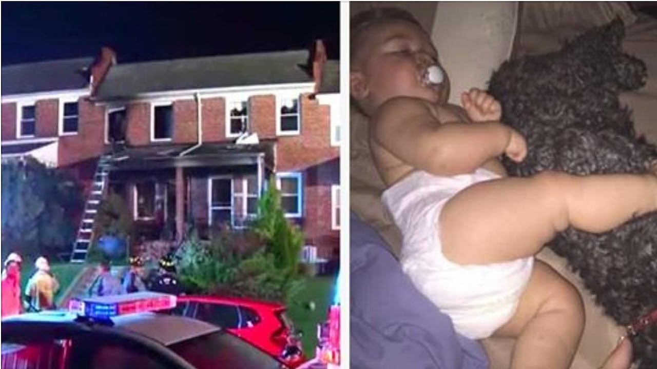 Mom Thinks Her Daughter Died in a Burning House Then Finds Out Their Dog Saved Her Mom Thinks Her Daughter Died in a Burning House Then Finds Out Their Dog Saved Her