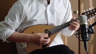 Iwashita Mandolins &  Guitars / tote (#3)