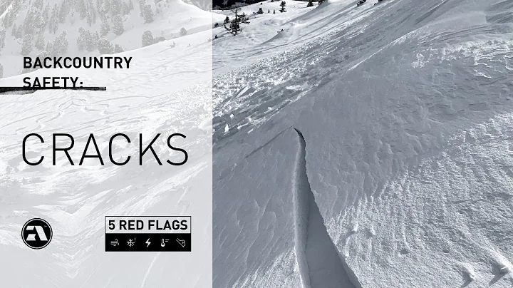 The 5 Red Flags: CRACKS