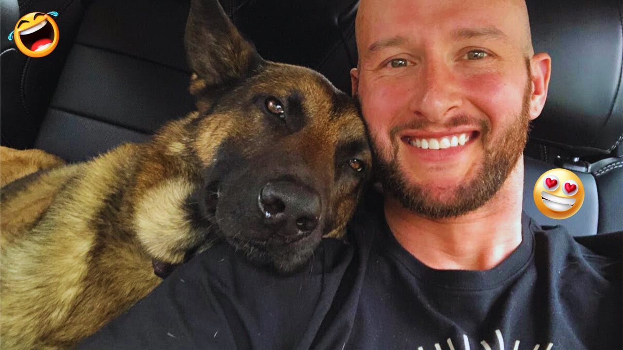 Funny DOGS videos 2024 😁🐶 New Funniest Animal Videos #2