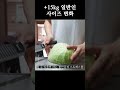 네츄럴은 벌크업