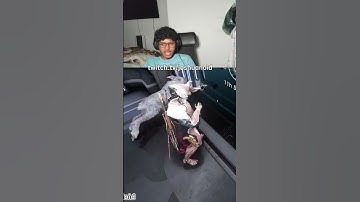 doggy going BRRR 🐕