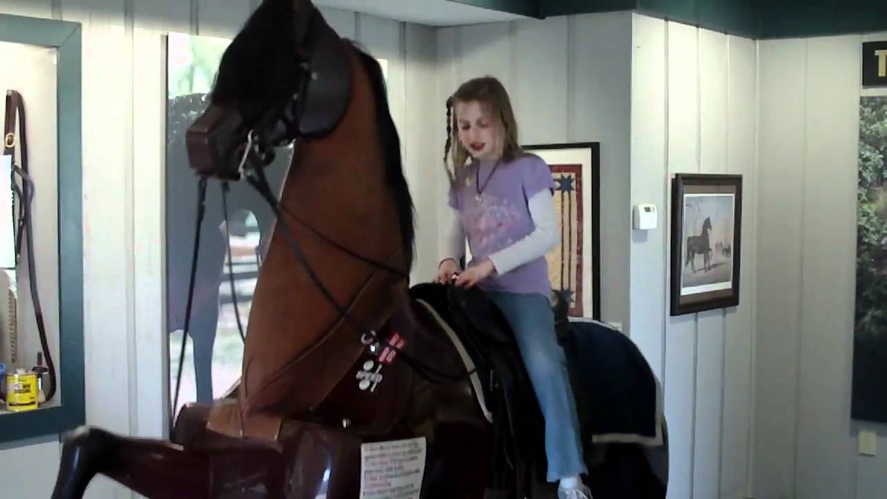 My Daughter Rides a Mechanical Horse YouTube
