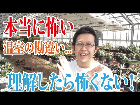 本当に温室が解決してくれますか！？温室によくある勘違いとは？その温室で育てて大丈夫？温室の解説と要注意ポイントのおさらい【多肉植物・サボテン・塊根】