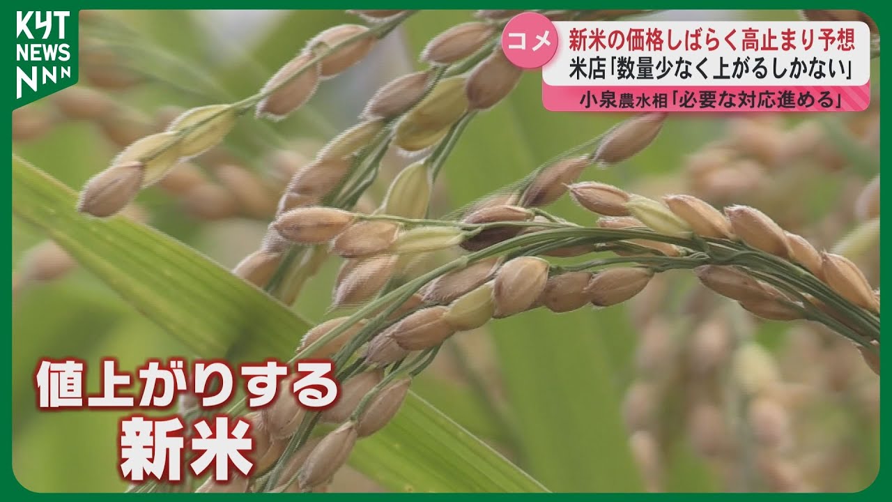 新米の価格”しばらく高止まりの予想 鹿児島市の米店｢数量が少なく