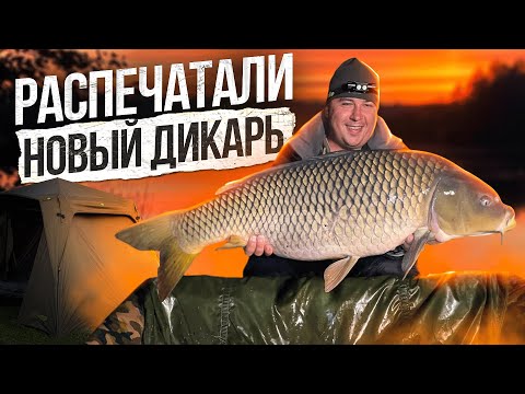 ОСЕННИЙ КАРПФИШИНГ НА