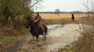 Friesian Focus Farms