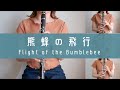 【超絶技巧】二万円のC管クラリネットで『熊蜂の飛行』演奏してみた - Flight of the Bumblebee -