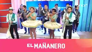 RED UNO EL MAÑANERO COCHABAMBA - LOS DELFINES DEL AMOR ( BAILA CHOLITA )