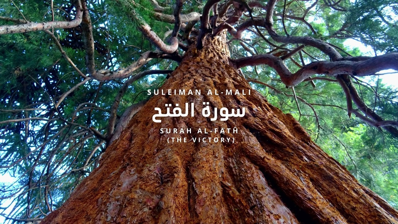 Surah Al-Fath Suleiman al-Mali | سورة الفتح سليمان المالي