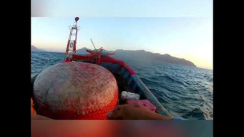 Câu cá biển Cà Ná Ninh Thuận ngày 28 tết