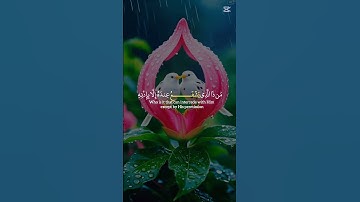 #القرآن الكريم #المصحف #اكسبلور #راحة نفسية#آية_الكرسي 🤲🤲🤲🤲☝🏽👆🏽👆🏽☝🏽☝🏽☝🏽☝🏽❤️♥️💗🌹🌹الشيخ ياسر الدسرى💯💯💘