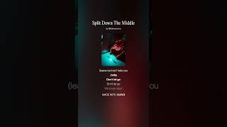 Split Down The Middle