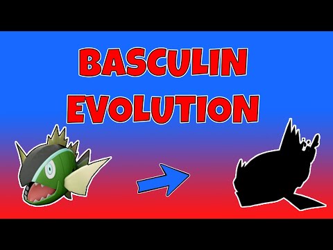 فيديو: متى يتطور الباسكولين في سيف البوكيمون؟