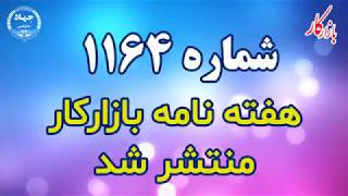 انتشار شماره 1164 هفته نامه بازارکار