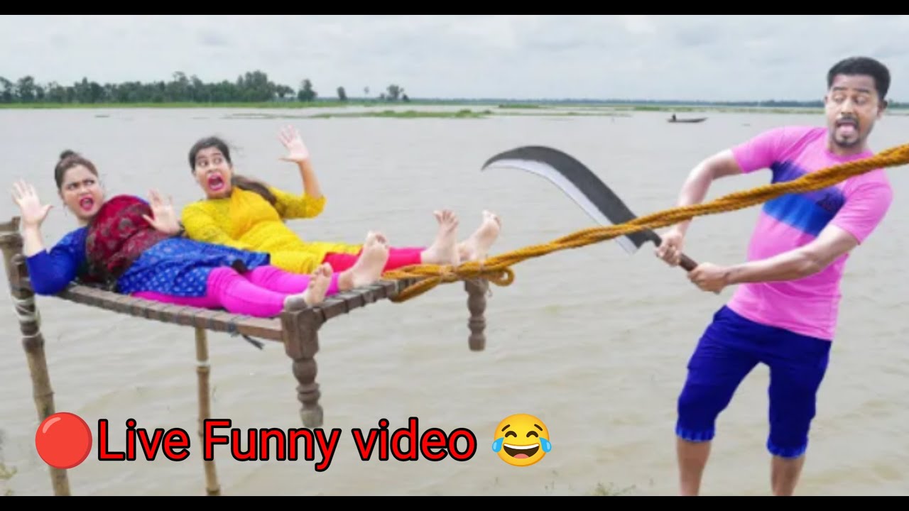 🔴 WATCH LIVE: FUNNIEST PET VIDEOS 24/7 🤣 Special Trending Funny Comedy ...