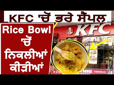 Breaking: KFC में Rice Bowl से कीड़े मिलने की शिकायत, भरे Sample
