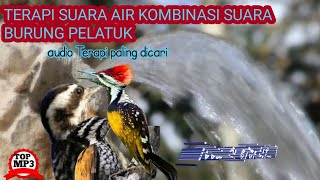 Suara Terapi burung pelatuk dan gemericik air mampu mengatasi burung yang macet bunyi
