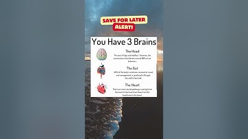 Understanding Your 3 Brains: Head, Gut, and Heart Connection Explained"