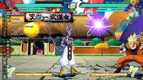 real beerus combo
